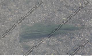 Photo of Various Textures